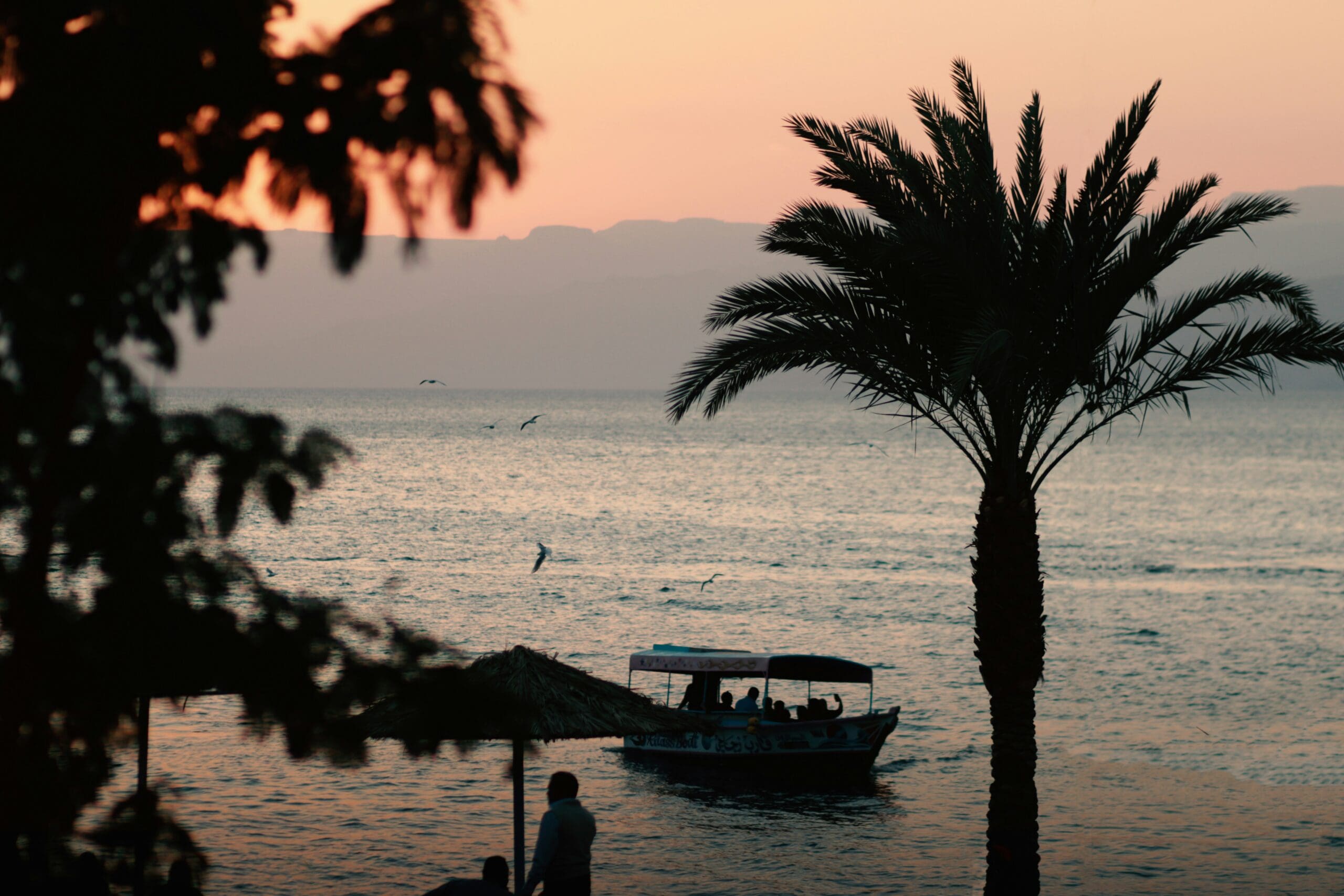 Palm tree and boat at sunset over tranquil sea