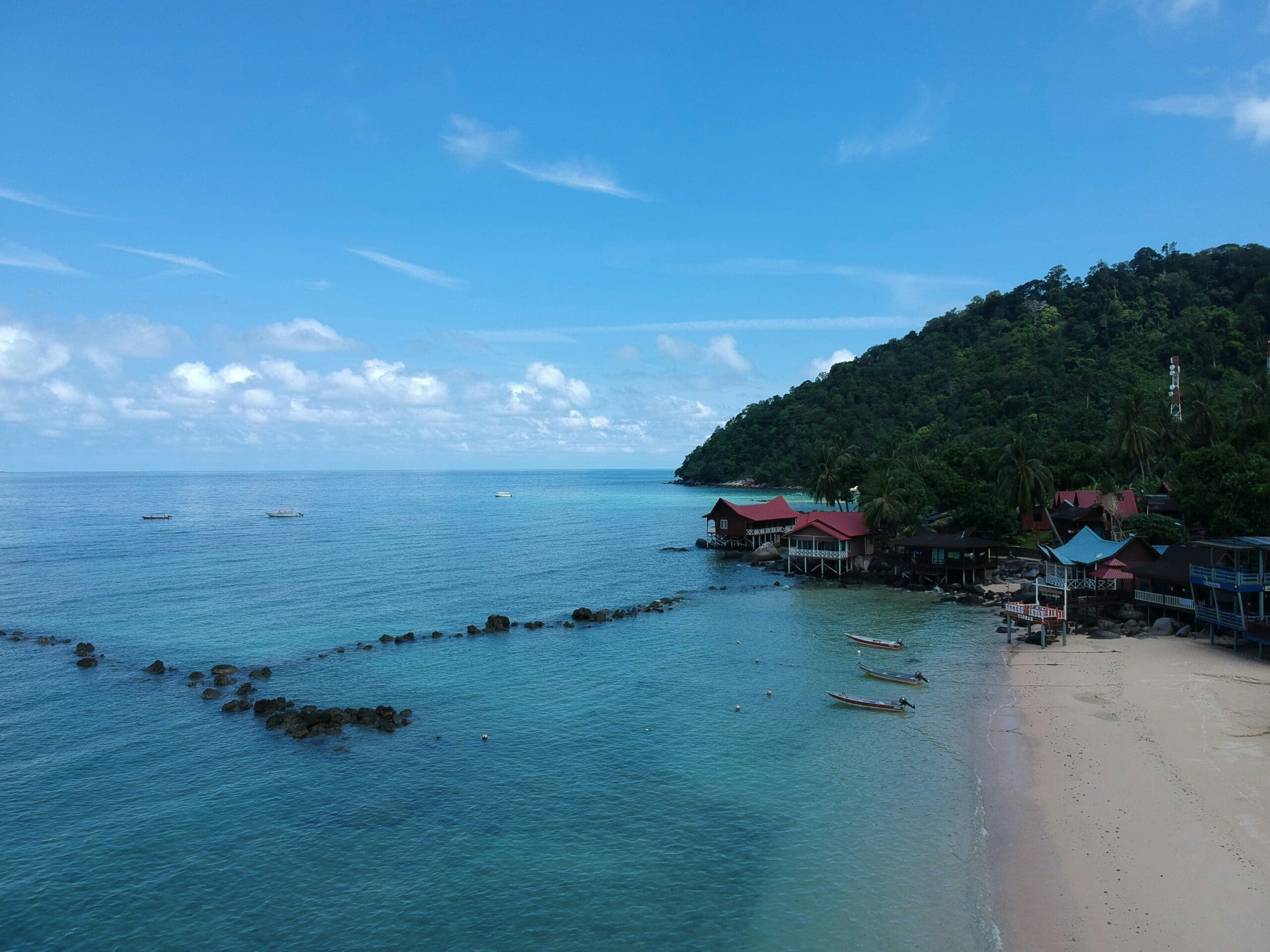 Coastal village with beach, boats, and lush hillside