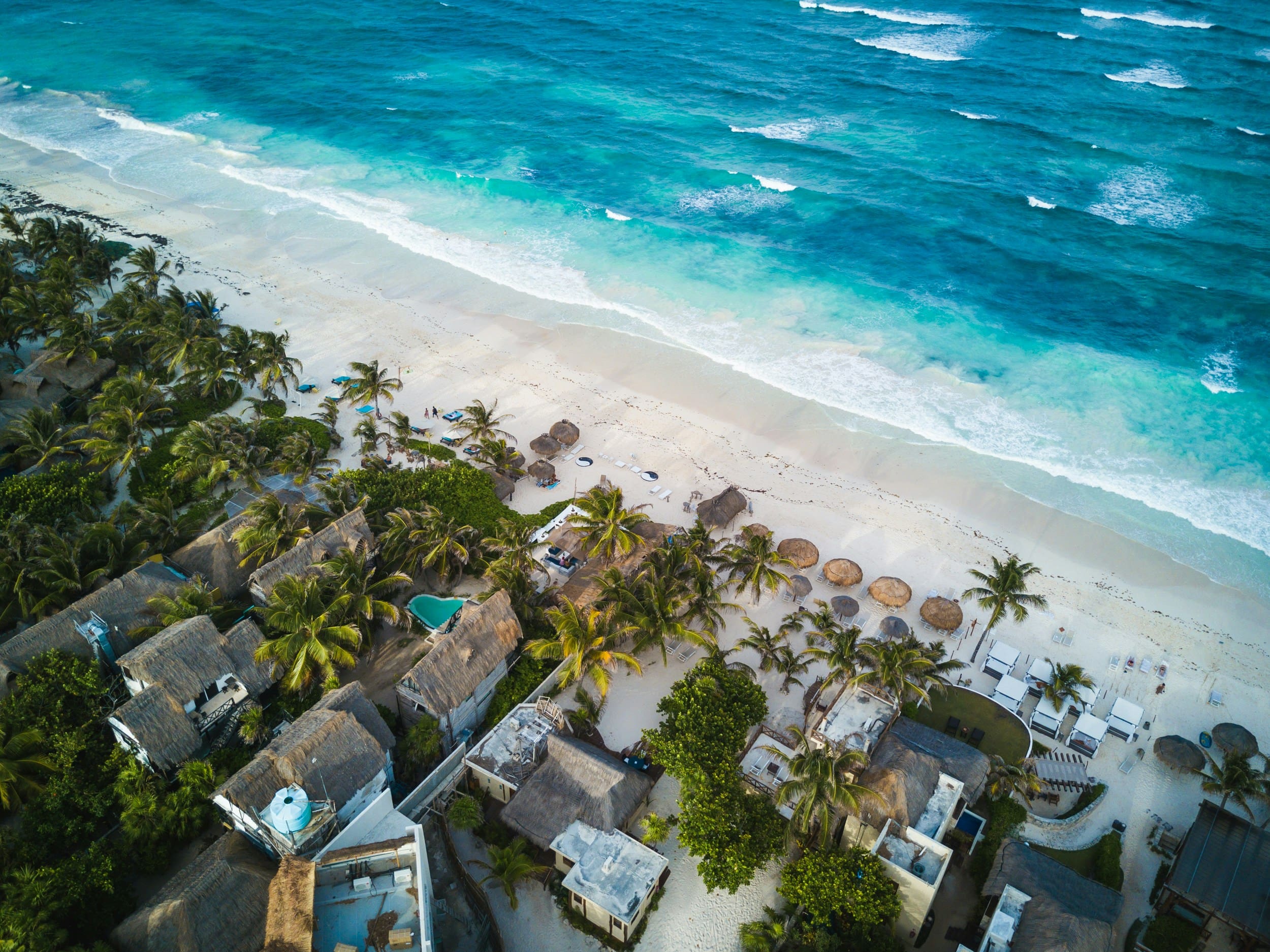 Aerial view of tropical beach with palm trees and huts