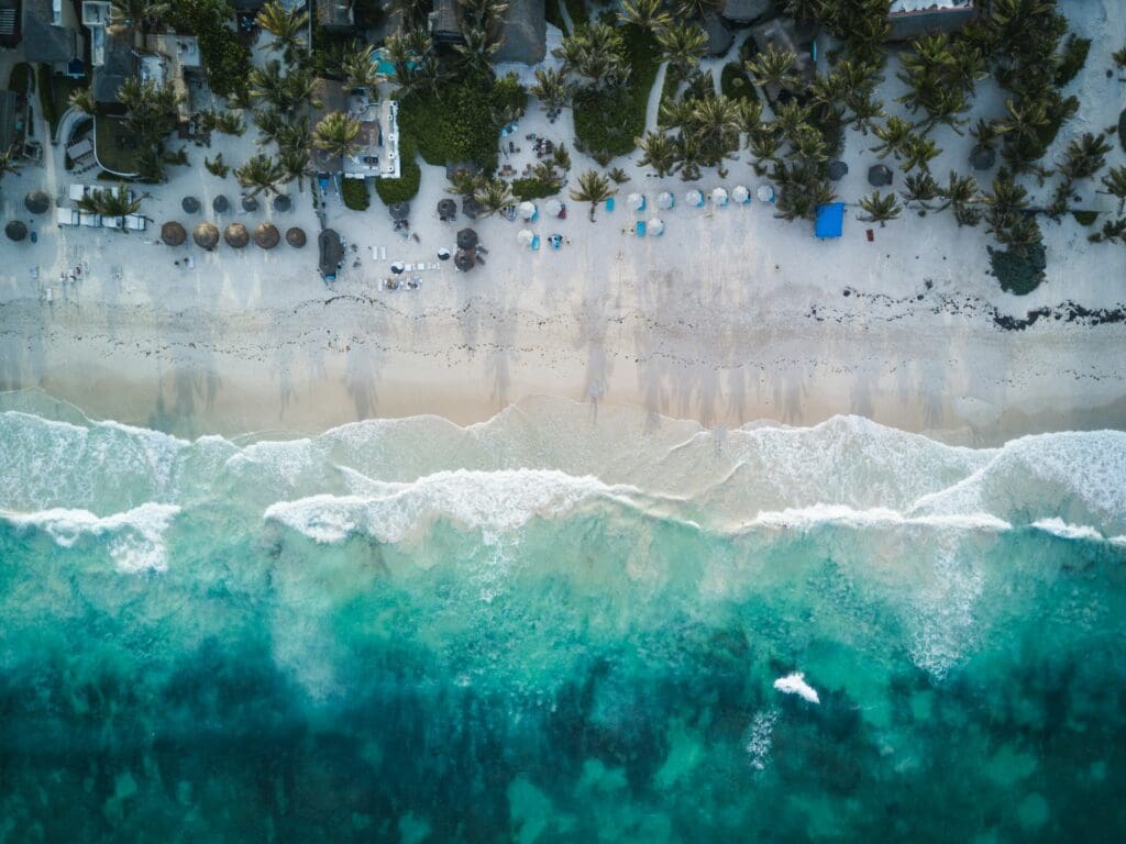 Aerial view of beachfront with lush palms and waves