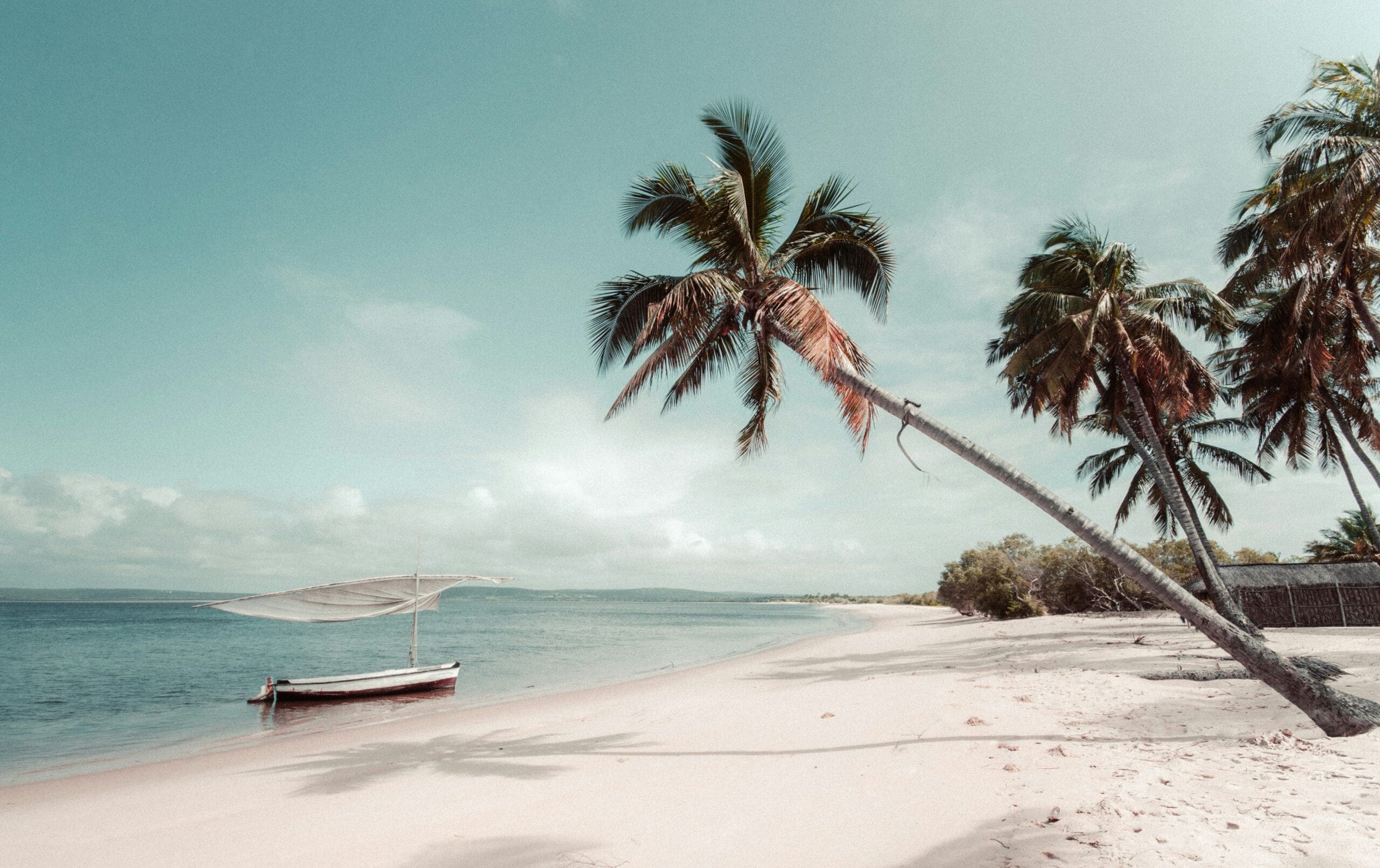 Tropical beach with leaning palm tree and anchored boat