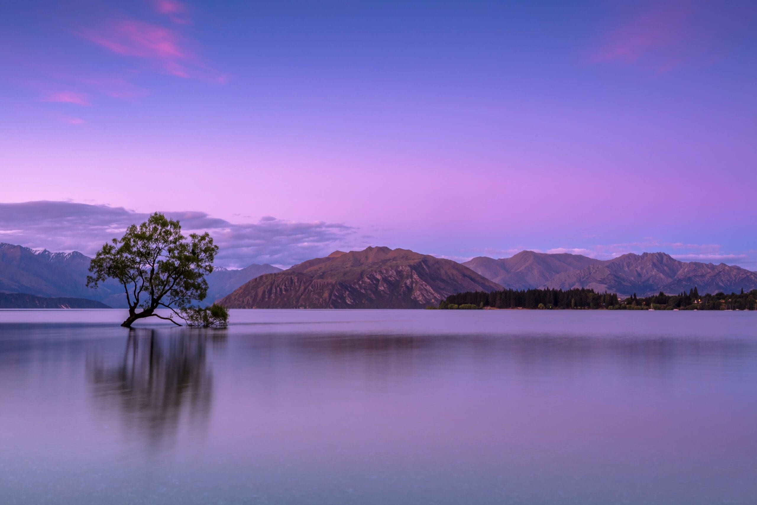 Solitary tree in tranquil lake at dusk with mountains