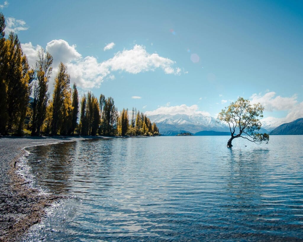 Solitary tree in lake against mountain backdrop