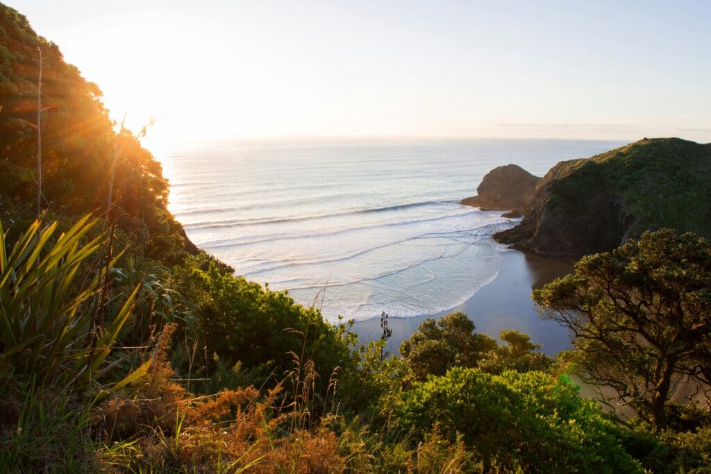 Sunrise over serene beach with cliff and lush foliage