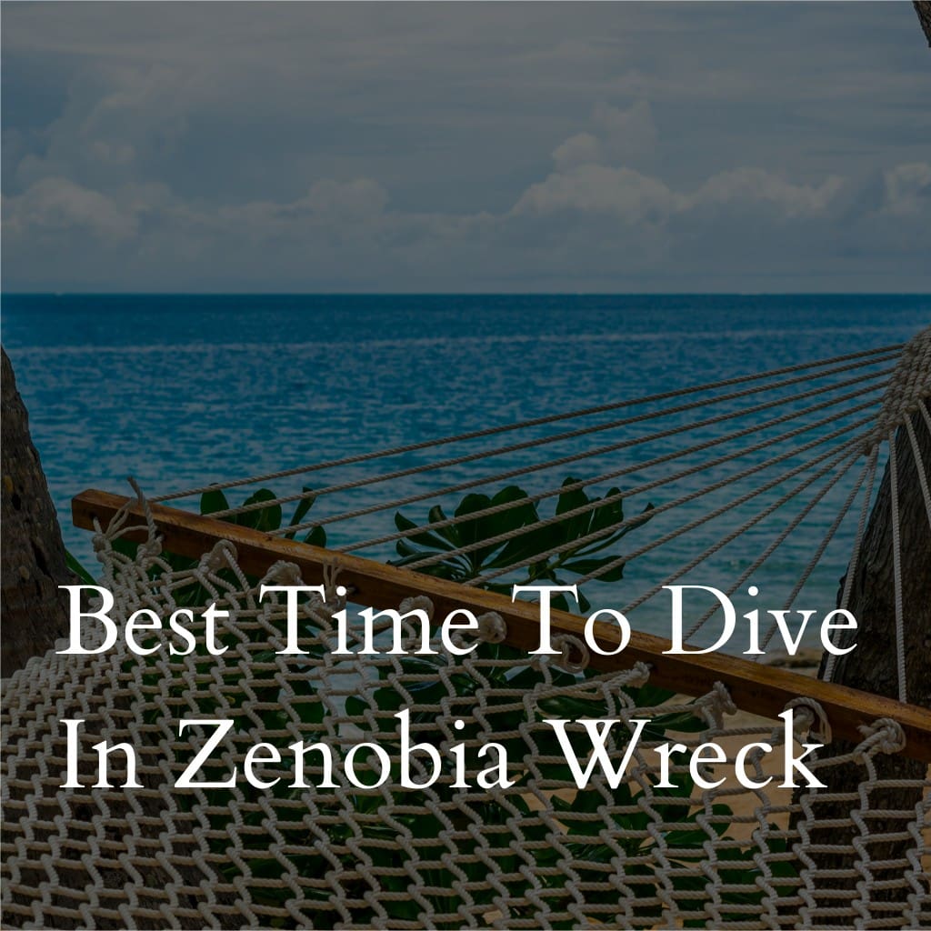 Best time to dive in Zenobia Wreck