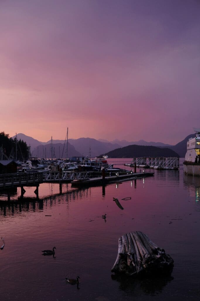 Sunset over tranquil marina with ducks and mountains