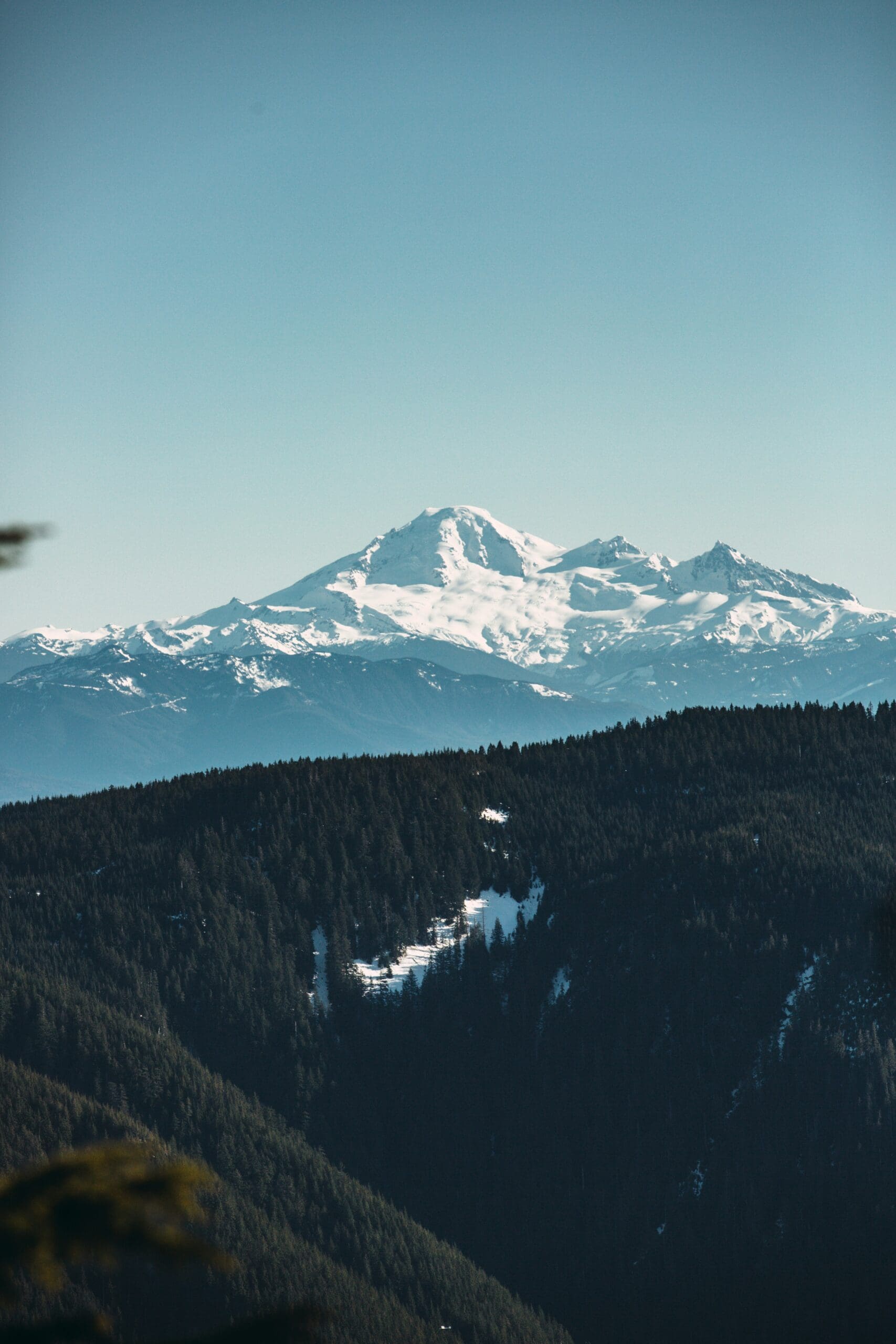 Snow-capped mountain above dense forest
