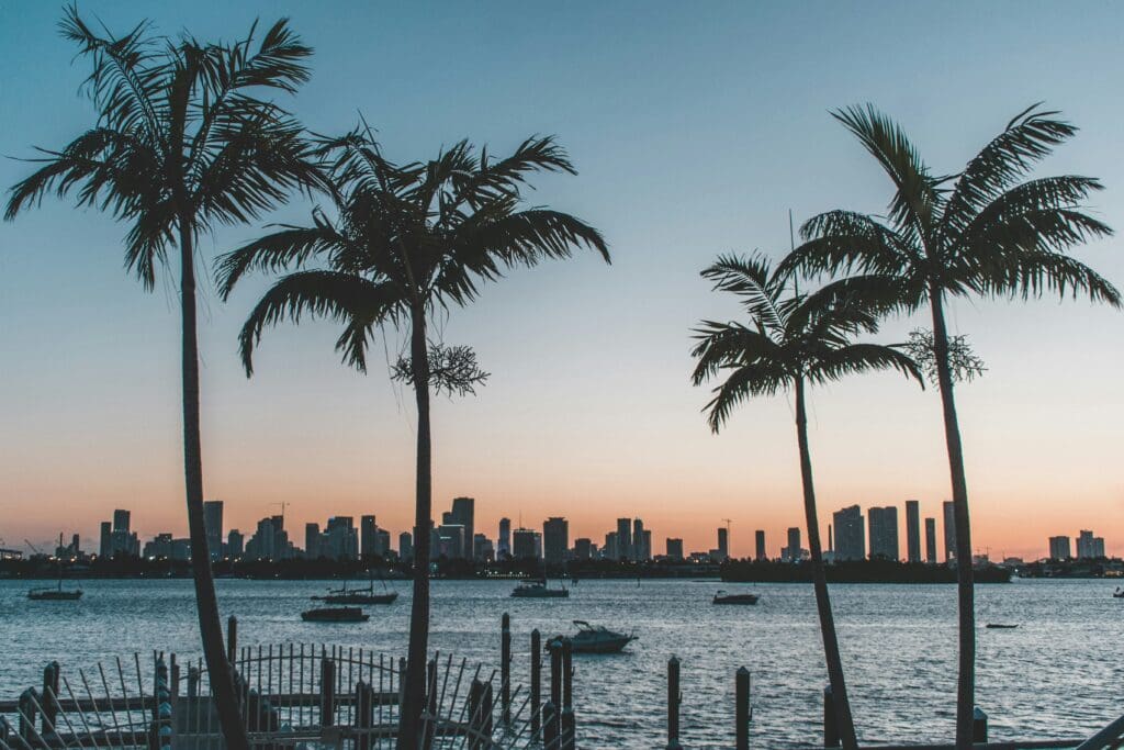 Sunset over city skyline with palm trees and boats