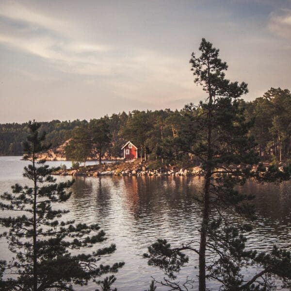 landscape photograph of body of water near forest