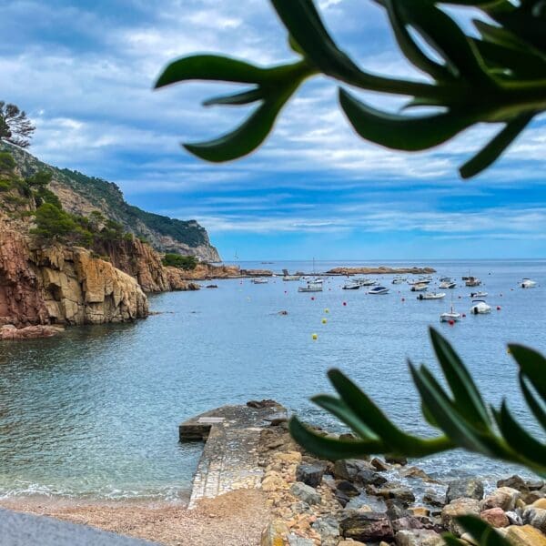 A body of water surrounded by trees and rocks