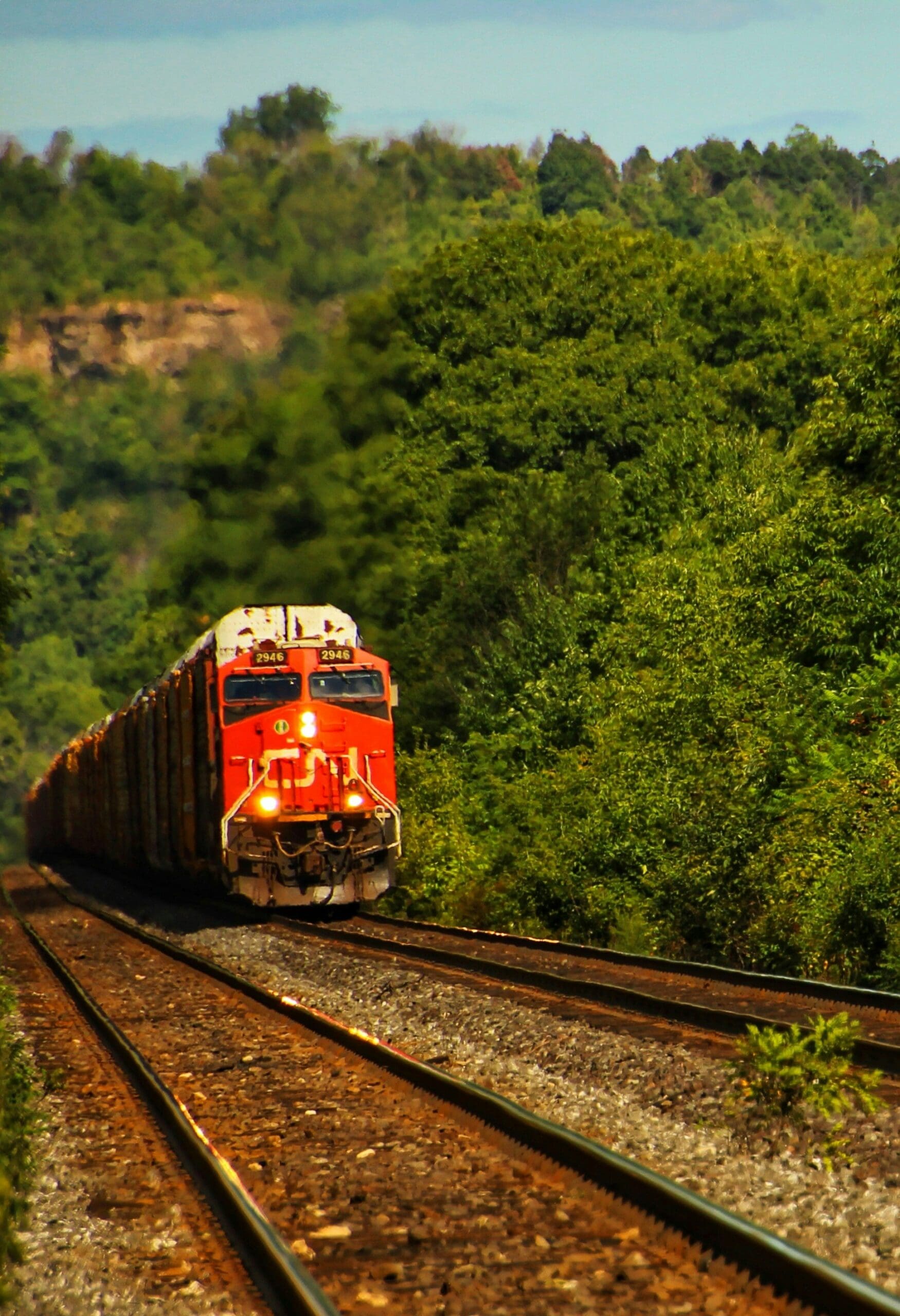 Red freight train moving on tracks through lush forest